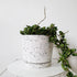 White Terrazzo Planters